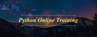 The Best Python Online Training