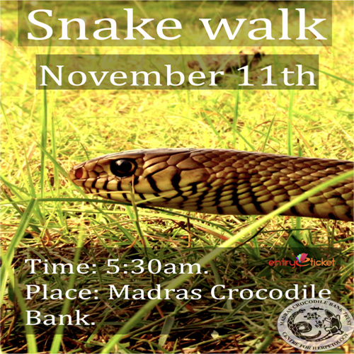 Snake Walk on November 2018 | Entryeticket, Chennai, Tamil Nadu, India