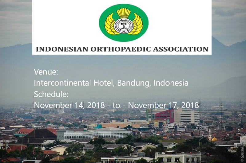 14th Business Meeting of Indonesian Orthopaedic Association, Badung, Bali, Indonesia