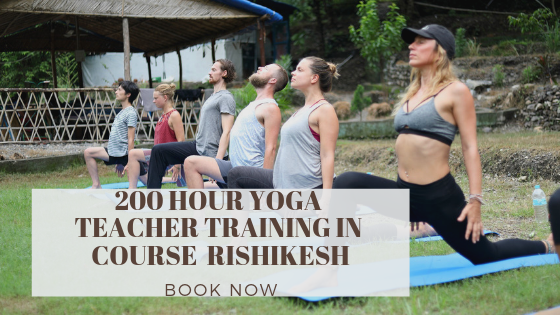 200 Hour Yoga Teacher Training in Rishikesh, Pauri Garhwal, Uttarakhand, India