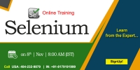 Best Selenium Online Training in USA - NareshIT