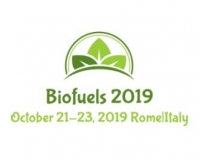 Global Experts Meeting on Frontiers in Biofuels and Bioenergy
