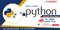 Best Python Online Training in USA - NareshIT