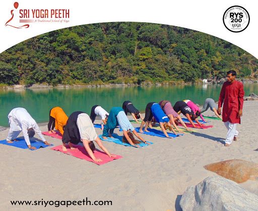 Yoga teacher training in India, Jaipur, Rajasthan, India