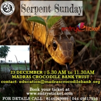 Serpent Sunday | Entryeticket