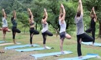 100 Hour Hatha Yoga Teacher Training Course in Rishikesh India