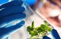 2019 8th International Conference on Environment, Energy and Biotechnology (ICEEB 2019)