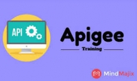 Accelerate Your Career With Apigee Training