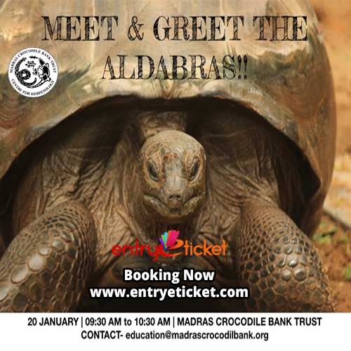 Meet and Greet the Aldabras - Entryeticket, Chennai, Tamil Nadu, India
