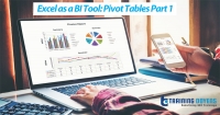 Live Webinar Training on Excel as a BI Tool: Pivot Tables Part 1