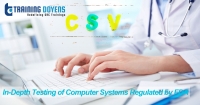 In-Depth Testing of Computer Systems Regulated by FDA
