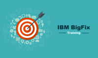 IBM BigFix Training in India & USA - FREE DEMO