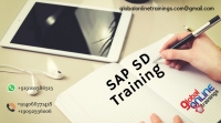 SAP SD Training | Best SAP Sales and Distribution Online Training -GOT