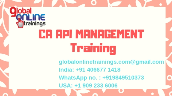CA API Management Training | CA API Gateway online training - GOT, Hyderabad, Andhra Pradesh, India