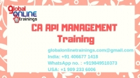 CA API Management Training | CA API Gateway online training - GOT