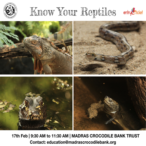 Know Your Reptiles on 2019 - Entryeticket, Chennai, Tamil Nadu, India