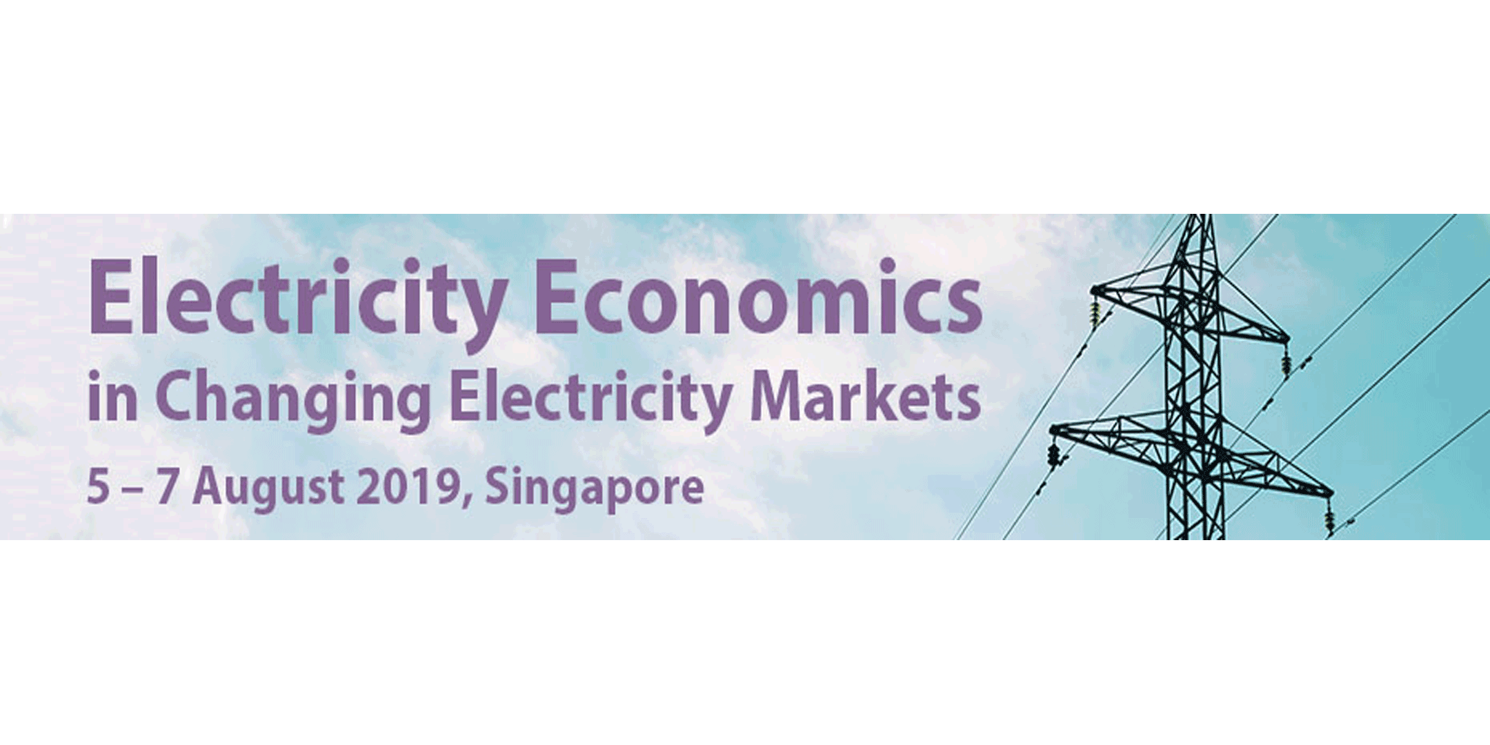 Electricity Economics in Changing Electricity Markets, Singapore