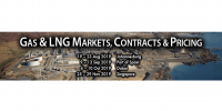 Gas & LNG Markets, Contracts & Pricing - Johannesburg