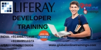 Liferay training | Liferay Developer training