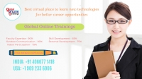 About Global Online Trainings | Best training company