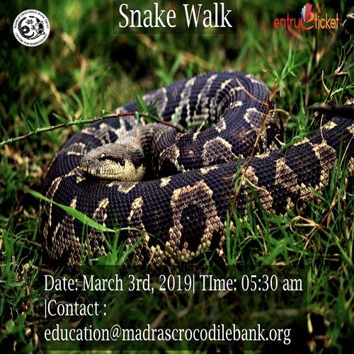 Snake walk chennai - Entryeticket, Chennai, Tamil Nadu, India