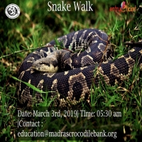 Snake walk chennai - Entryeticket