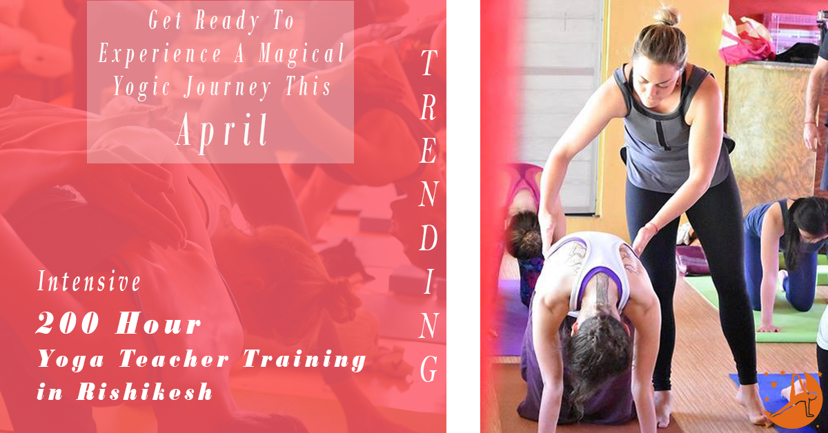 200 Hour Yoga Teacher Training in Rishikesh RYS200 (April), Rishikesh, Uttarakhand, India