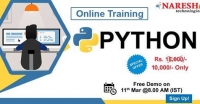 Best Python Online Training Institute in USA - Naresh IT