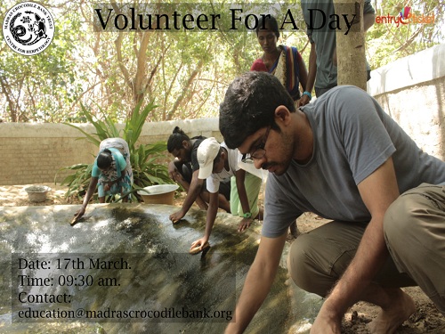 Volunteer For A Day in Chennai- Entryeticket, Chennai, Tamil Nadu, India