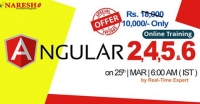 Best Institute for Learning Angular Js Online Training course in USA -