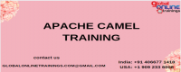 Apache Camel Training | Apache Camel Online Job Support from India