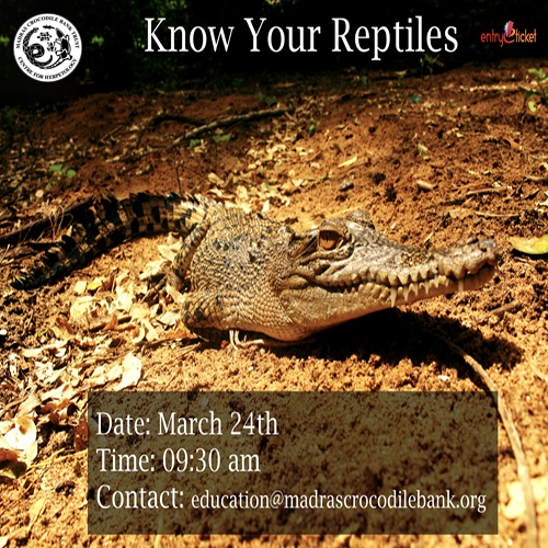 Know Your Reptiles! - Entryeticket, Chennai, Tamil Nadu, India