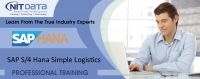 SAP Simple Logistics Online Training in Hyderabad