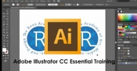 Adobe Illustrator Essential Training Course.