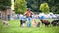Norfolk Festivals of Dogs