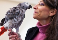Cary Lecture: Alex the Parrot and the Mysteries of Language