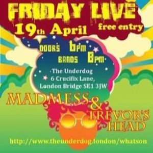 A Night of Psychedelic Rock and Stoner Punk with Madmess and Trevor's Head, London, United Kingdom
