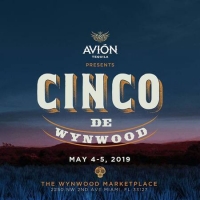 Cinco de Mayo at The Wynwood Market Place in Miami - May 2019