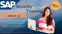 SAP Security Training | SAP Security Online Training - GOT