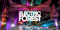 Electric Forest Festival - 4 Days Passes