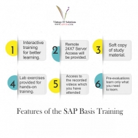 Online SAP Basis Training Courses in India | SAPVITS | what is SAP Basis