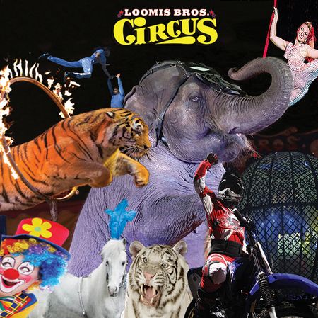 Loomis Bros. Circus: 2019 'Circus TraditionsTour' - YORK, PA, York, Pennsylvania, United States