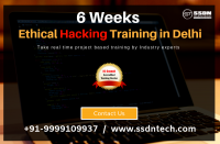 Take 6 Weeks Ethical Hacking Course in Delhi (Paid Training)