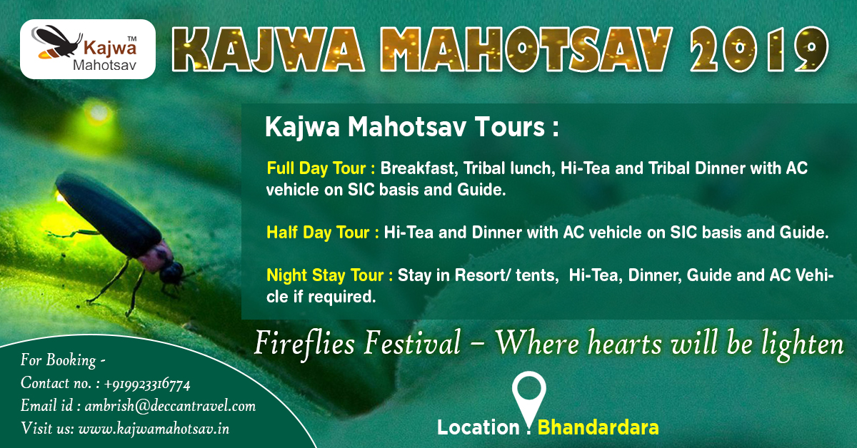 Kajwa Mahotsav at Bhandardara – The Festival of Millions of Fireflies, Ahmednagar, Maharashtra, India