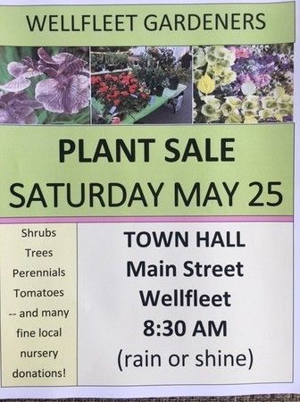 Wellfleet Gardeners Plant Sale 2019, Wellfleet, Massachusetts, United States