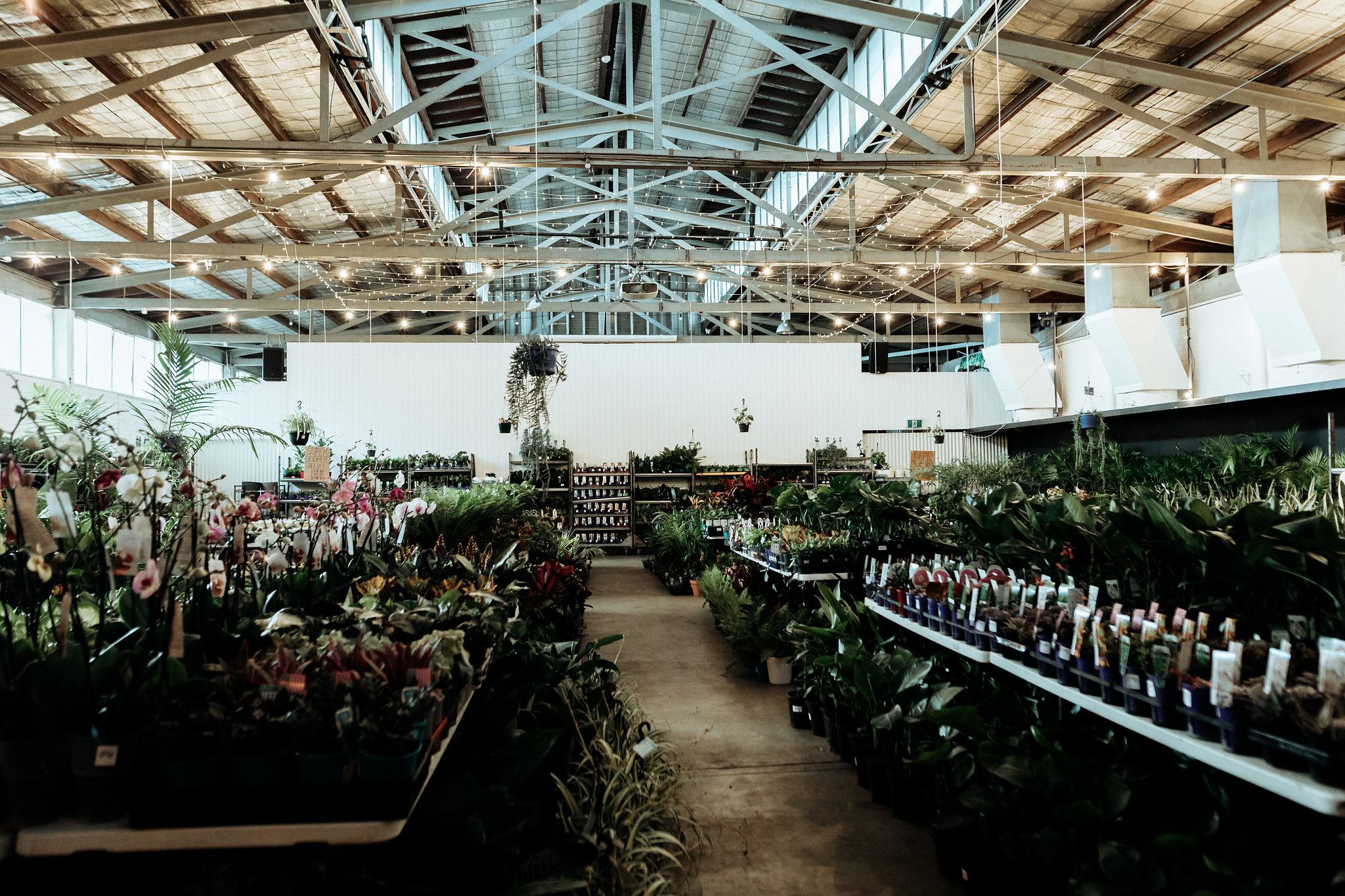 Perth - Huge Indoor Plant Warehouse Sale- Winter Wonderland, Perth, Western Australia, Australia