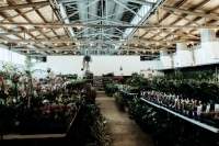 Perth - Huge Indoor Plant Warehouse Sale- Winter Wonderland