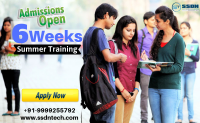 Take 6 Weeks Industrial Training in Noida (Paid Training)