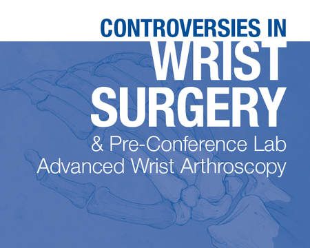 Controversies in Wrist Surgery / Pre-Conference Advanced Wrist Arthroscopy, Rochester, Minnesota, United States
