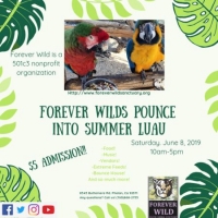 Forever wilds pounce into summer luau